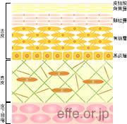 �^�[���I�[�o�[�̂�����