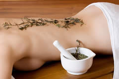 �j�L�r�΍� �f���̊����Ɣ玉�̊֌W